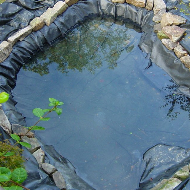  Buy Pond Liner